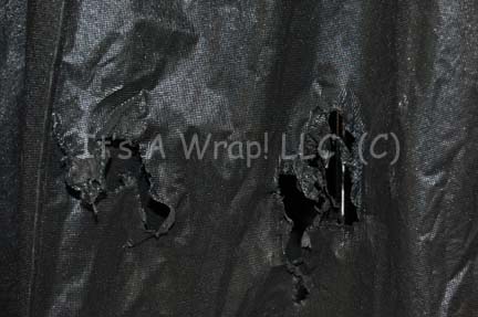Photo by It's A Wrap!