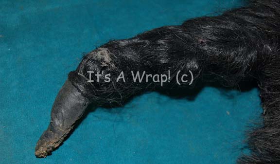 Photo by It's A Wrap!