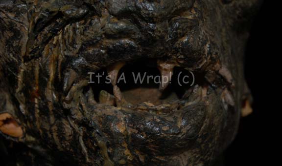 Photo by It's A Wrap!
